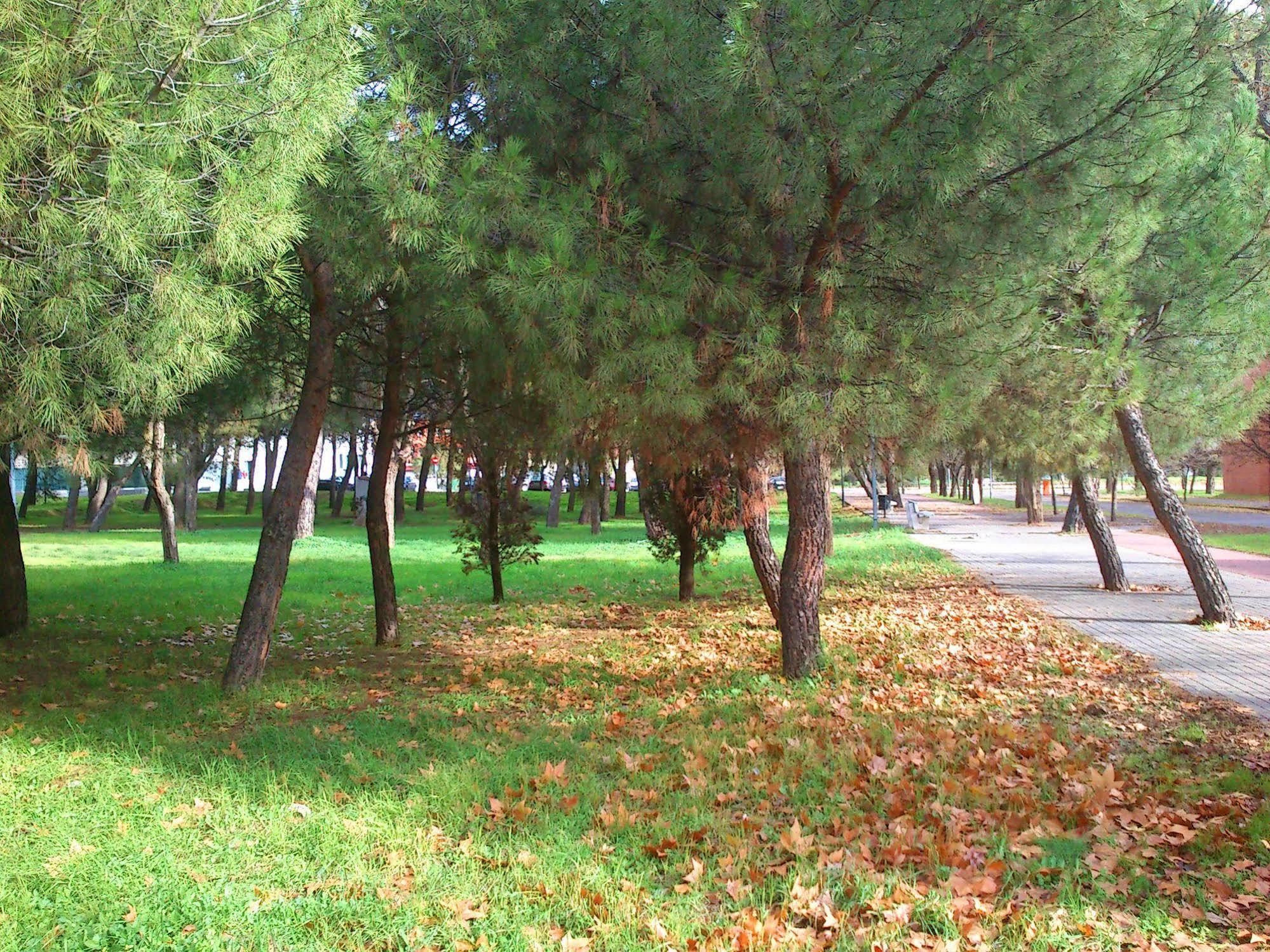 Residencia Universitaria Resa Giner De Los Rios Alcala de Henares Exterior photo